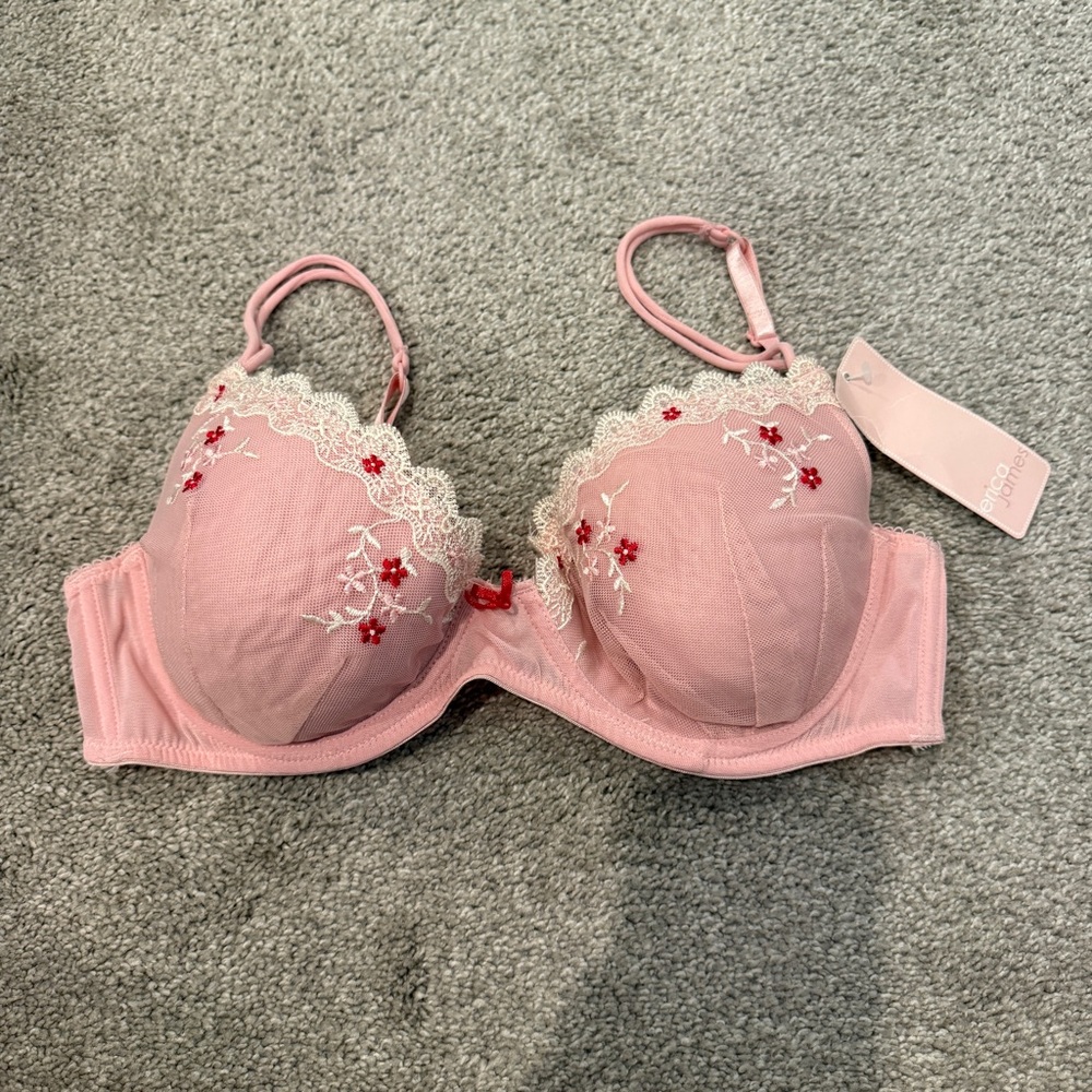 NWT Erica James Embroidered Lace Pink Red White Bra Size 36C